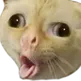 Big