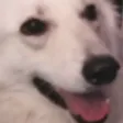 TakiSmile