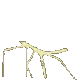 stickbug