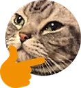 thin_cat