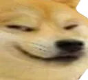 yoredoge