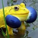 Froggie Discord Emoji