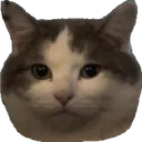MrFluffy MrFluffy