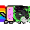 SaladNyanCat