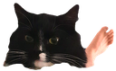 NovaHi Discord emoji