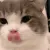 s_catyum s_catyum