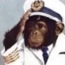 monke