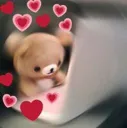 teddyhearts