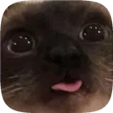 mlem mlem