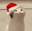 santapogcat