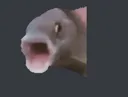 emoji_5