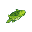 CuteTurtle
