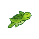 CuteTurtle