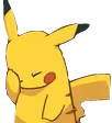 pikaheadslap