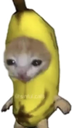 banana_cat Discord emoji