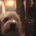 DeathByCringe