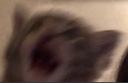 keeto_wtf Discord emoji