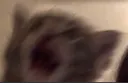keeto_wtf