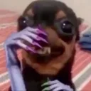 9acosp_letmelaugh
