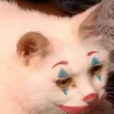 gatoclown