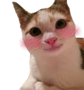 ch_friendlyblush Discord emoji