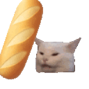 Cat Bonk catbonk Discord Emoji