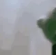 KermitHiding