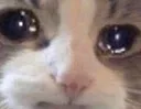 saddy
