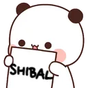 amiruspandashibal