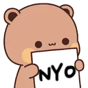 amiruspandanyo2