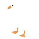 goose