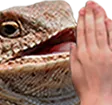 BlessHhhe