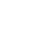 White_star Discord emoji
