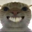 Cat_Smile