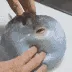 z_fatfish2