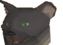 bobfused bobfused