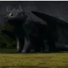 Z_NinjaLeave