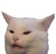 AP_gcatwat Discord emoji