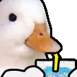 DuckSip