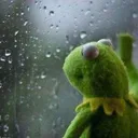 sadkermit