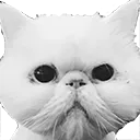 leobruh