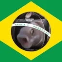 fishbrazil fishbrazil