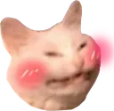 Catblush CatBlush Discord Emoji