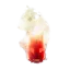 SurtlingTrophy