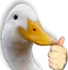 thumbsduck