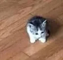 AAAAAAAAAAAA AAAAAAAAAAAA