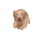 hi_imhere