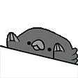 bongocrow