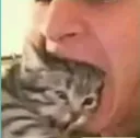 nom