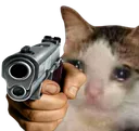 3679sadcatgun